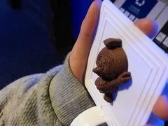 -上海海洋水族馆