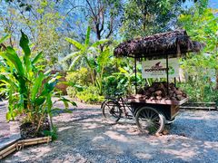 -大象粑粑造纸公园