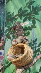 -Zoolung Zoolung动物主题公园(海信广场店)