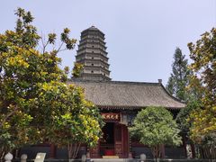 -法门文化景区