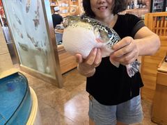 -天正河鲀·河豚亭(大连店)