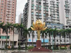 -金莲花广场