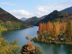 -四明山国家森林公园