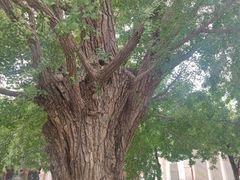-北京石刻艺术博物馆(五塔寺)