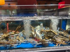-张家卫·阳江菜·小海鲜(肥婆湾桥店)