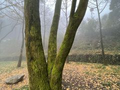 -秦岭终南山世界地质公园翠华山景区