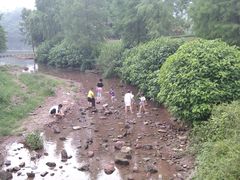 -重庆彩云湖湿地公园