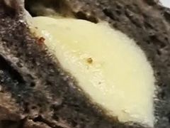 -木子木水日式烫面包(杭州首店)