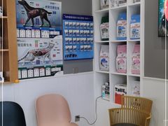 -关爱宠物医院·猫科中心·消化科(滨湖万达分院)