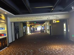 -万达影城(蜀都万达广场IMAX店)