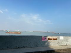 -大湾区中央湿地公园