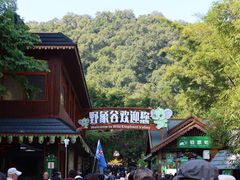 -野象谷景区