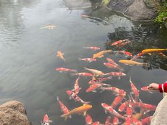 -罗红摄影艺术馆