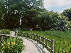 -成都市活水公园