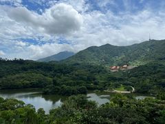 -深圳仙湖植物园