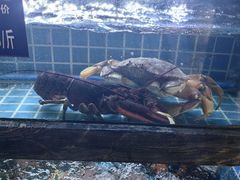 -阿娘家·原生态农家菜(国顺东路店)