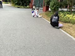 -晓港公园