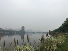 -眉山湿地公园(东坡区)