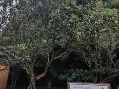 -毛泽东同志旧居