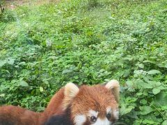 -柳州市动物园