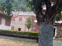 -草庵摩尼教遗址公园