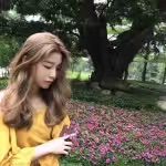 -木北造型