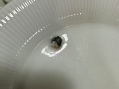 -笨罗卜浏阳菜馆(龙华鹏润达店)