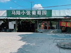 -马陆小张葡萄园农家乐