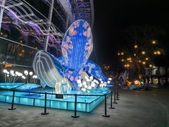 -海合安成都极地海洋公园