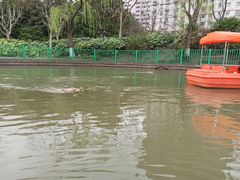 -黄兴公园