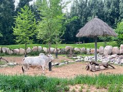 -北京野生动物园