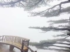 -黄山北海宾馆