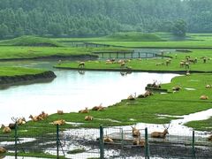 -溱湖国家湿地公园