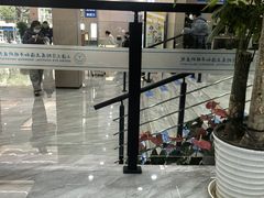 -上海大学附属上海和平眼科医院