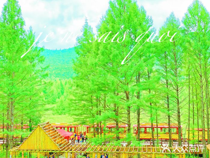 莫尔道嘎国家森林公园图片