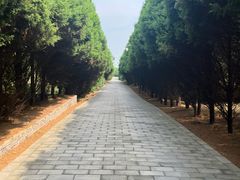 -秦始皇帝陵博物院-丽山园