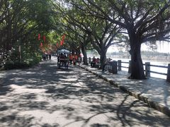-大湾区中央湿地公园