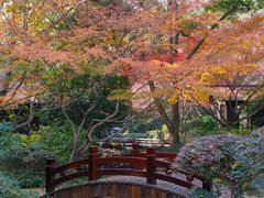 -中国茶叶博物馆(双峰馆区)