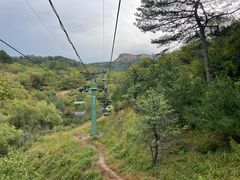 -磬锤峰森林公园