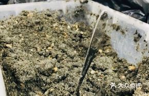 Sesame Sugar Filling