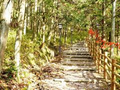-天姥山