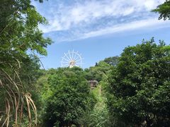 -宁波野生动物园