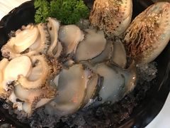 -鲜入围煮花胶鸡海鲜火锅