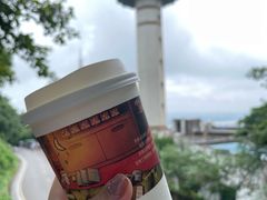 -茶颜悦色(岳麓山顶店)