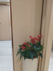 -南京康美美容医院·旗舰店