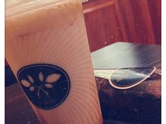 -多克多蒸气茶DOKDO(鼓楼绿地店)