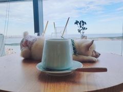 -柴犬小屋·柴餐厅·狗咖食堂(金鼎广场店)