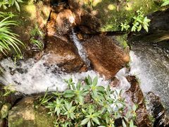 -海南热带雨林国家公园吊罗山景区