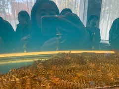 -华盛丰温州大排档(东三环南路店)