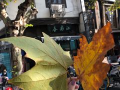 -江南春(中山中路店)